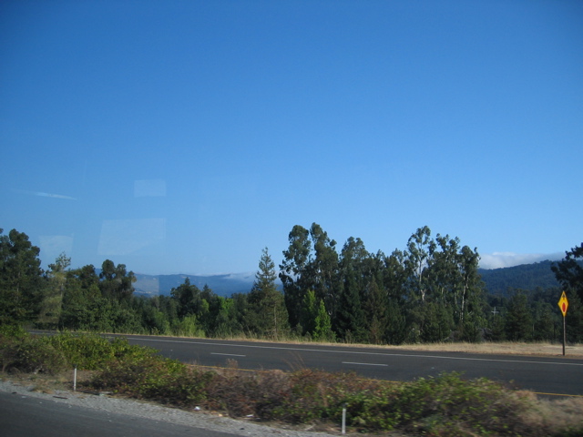 IMG_0590.JPG